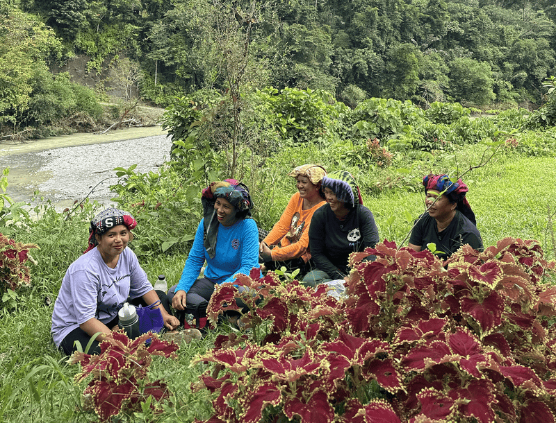 Build A Living Apothecary: Flower & Medicine Herb Garden