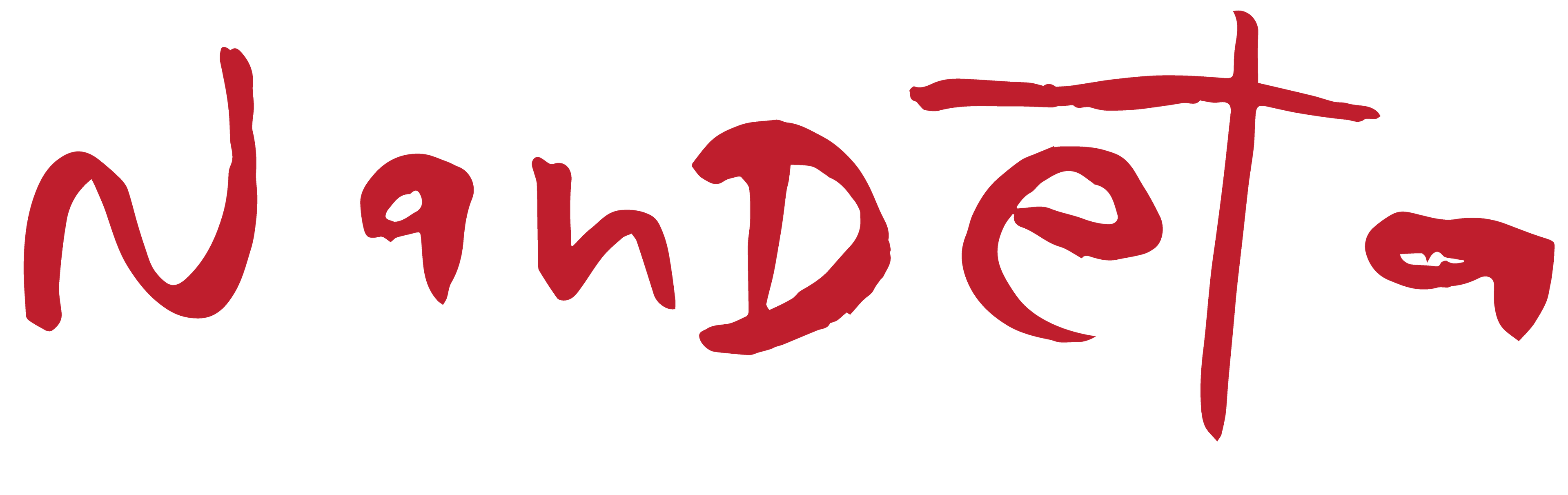 YAYASAN NANDETA SHAKTI NUSANTARA